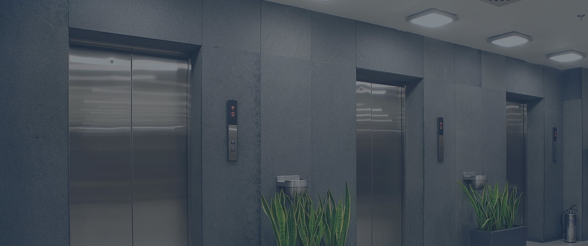 Slide-show background